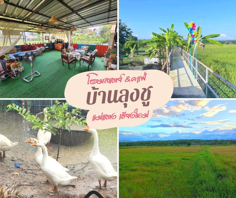 Baanlungchuhomestay&Cafe Mae Taeng Ngoại thất bức ảnh