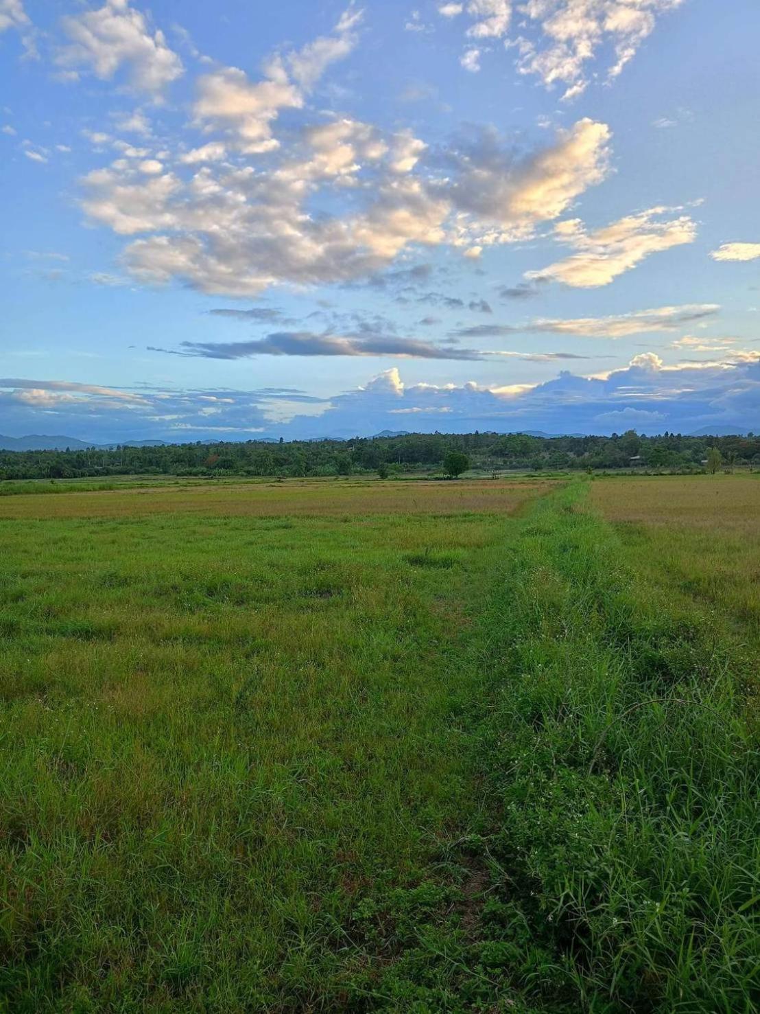 Baanlungchuhomestay&Cafe Mae Taeng Ngoại thất bức ảnh